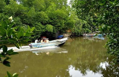 Riverdale Eco Resort Beruwala Buitenkant foto
