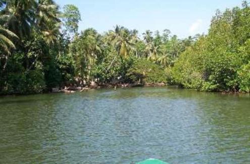 Riverdale Eco Resort Beruwala Buitenkant foto